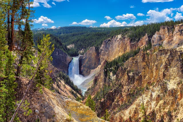 <p>Discover Yellowstone National Park</p>
