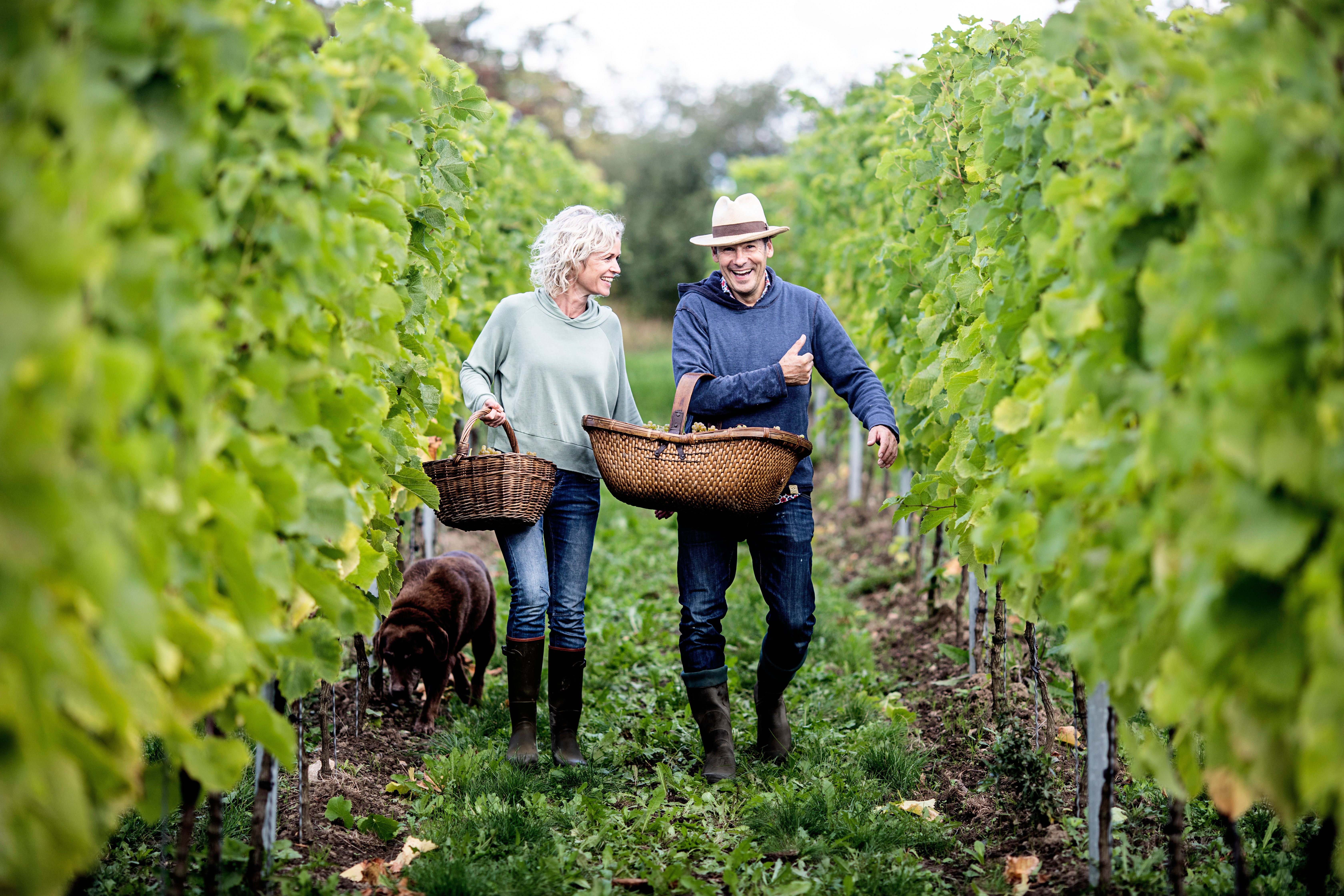 Jacob and Helle Stokkebye planted their first vines in 2009
