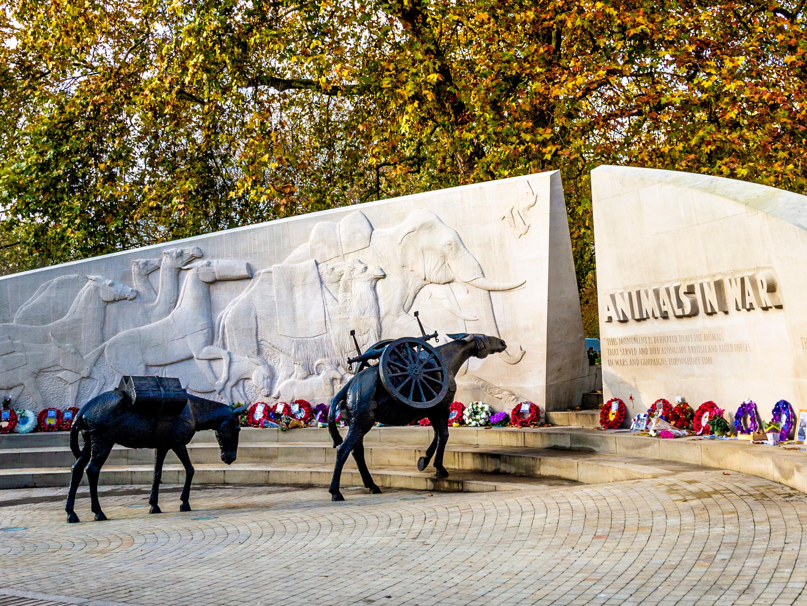 Lifelike donkeys at the Animals in War memorial portray the animals’ weariness
