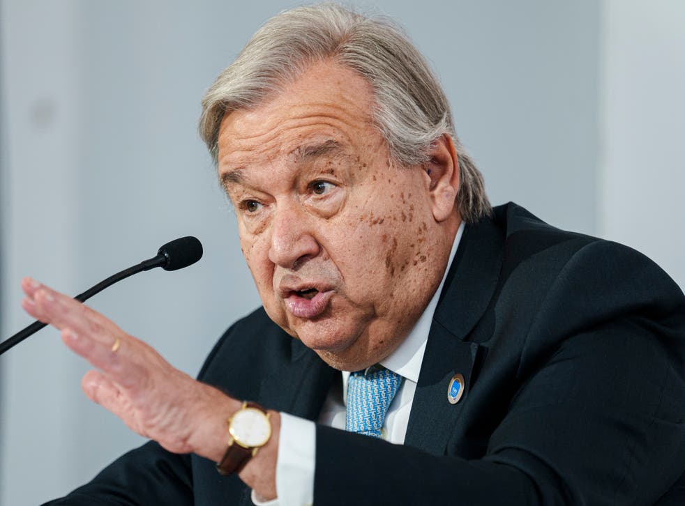 ONU-G20