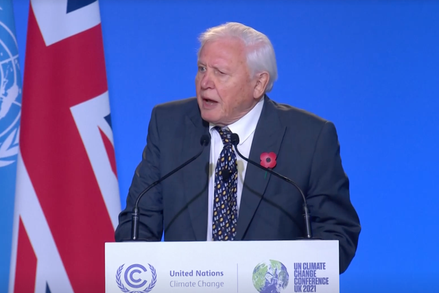 <p>Sir David was one of the first to address the summit on Monday </p>