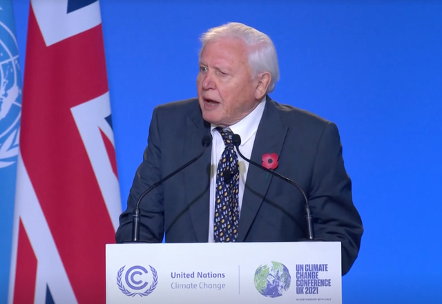 <p>Sir David was one of the first to address the summit on Monday </p>