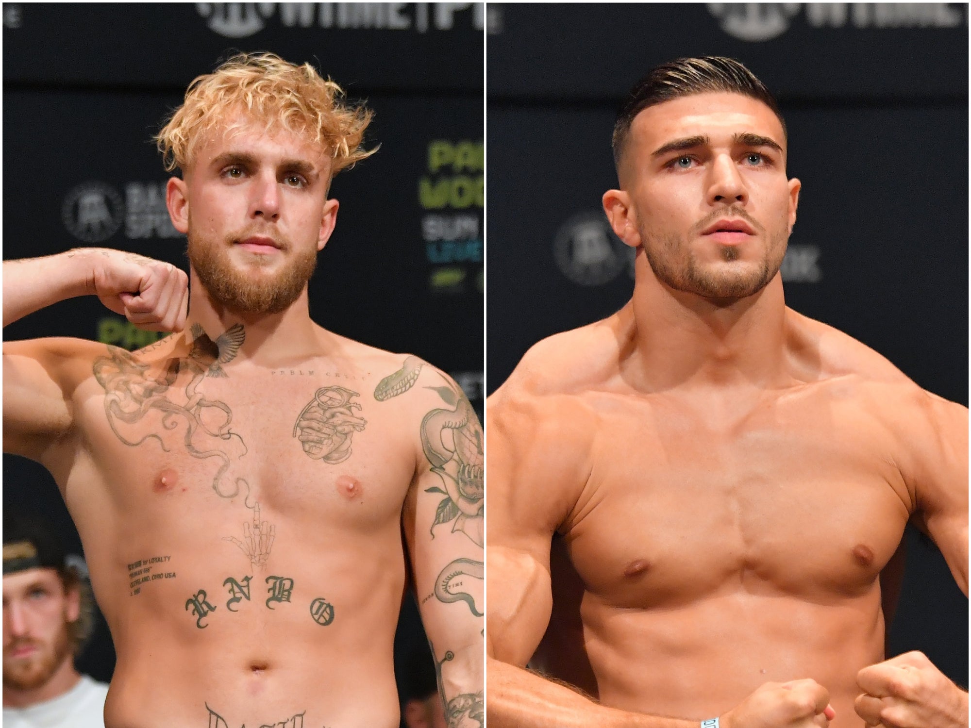 Jake Paul will take on Tommy Fury in the ring
