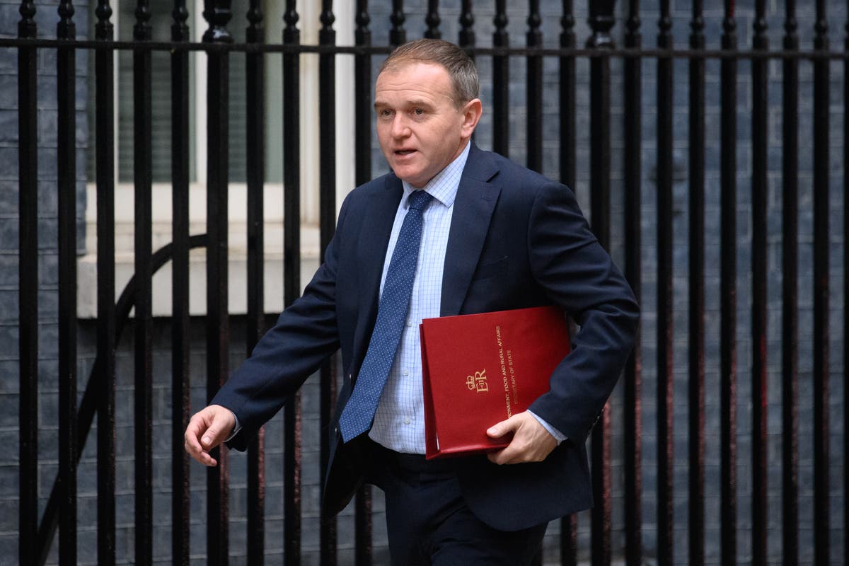 Israel didn’t ‘communicate particular access needs’ for disabled minister, Eustice suggests