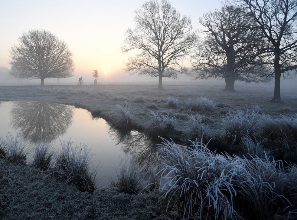 <p>Rural frost can be expected for some on Thursday with cold starts for most </p>
