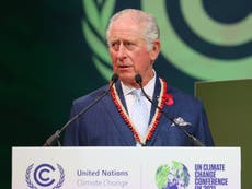 Cop26 Glasgow news – live: ‘Frankly we’ve had enough talk,’ says Prince Charles as nations make forests pledge