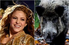 Shakira claims people were watching and ‘not doing anything’ during wild boar attack