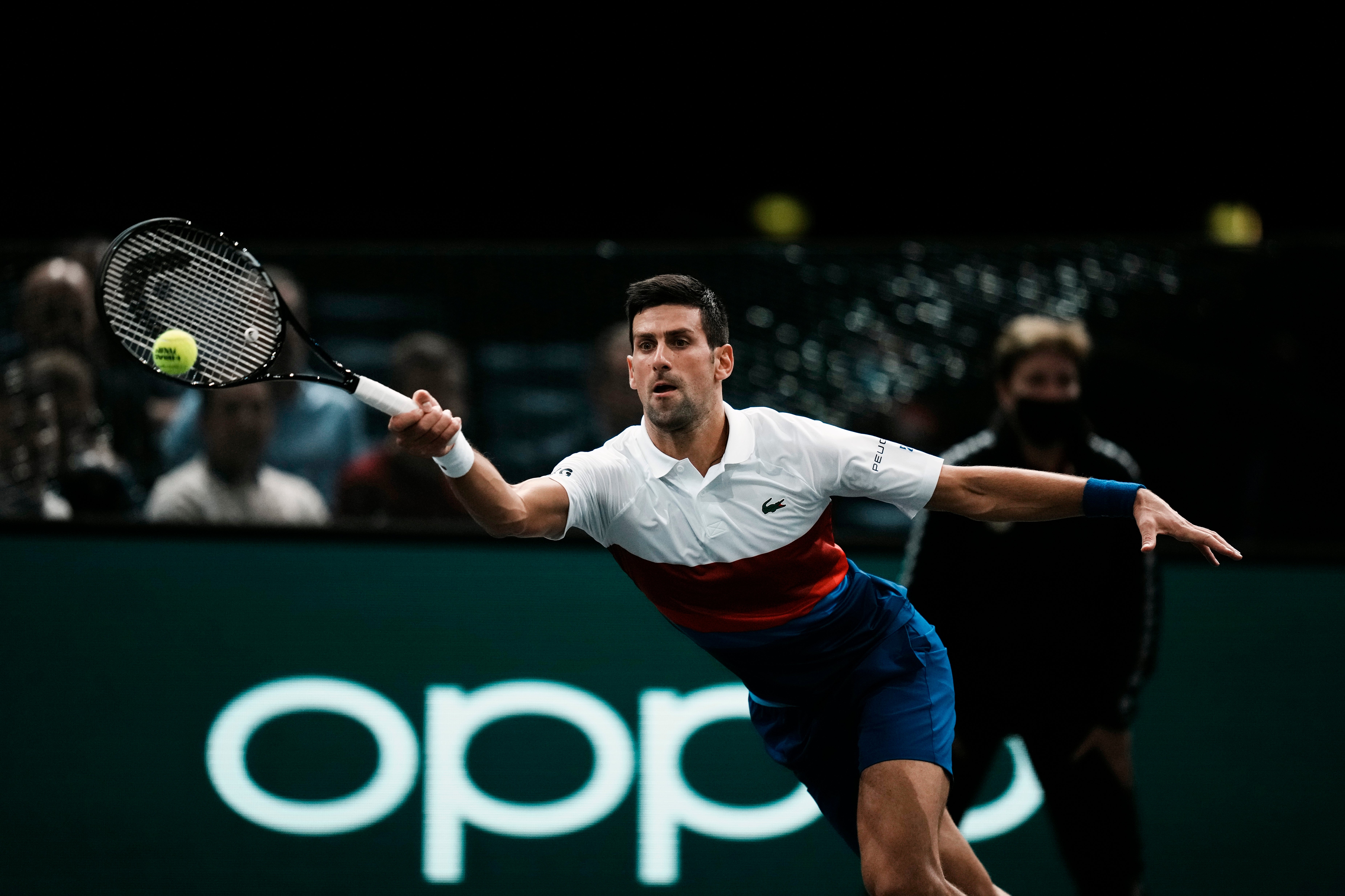 Novak Djokovic defeated Marton Fucsovics in Paris (Thibault Camus/AP)