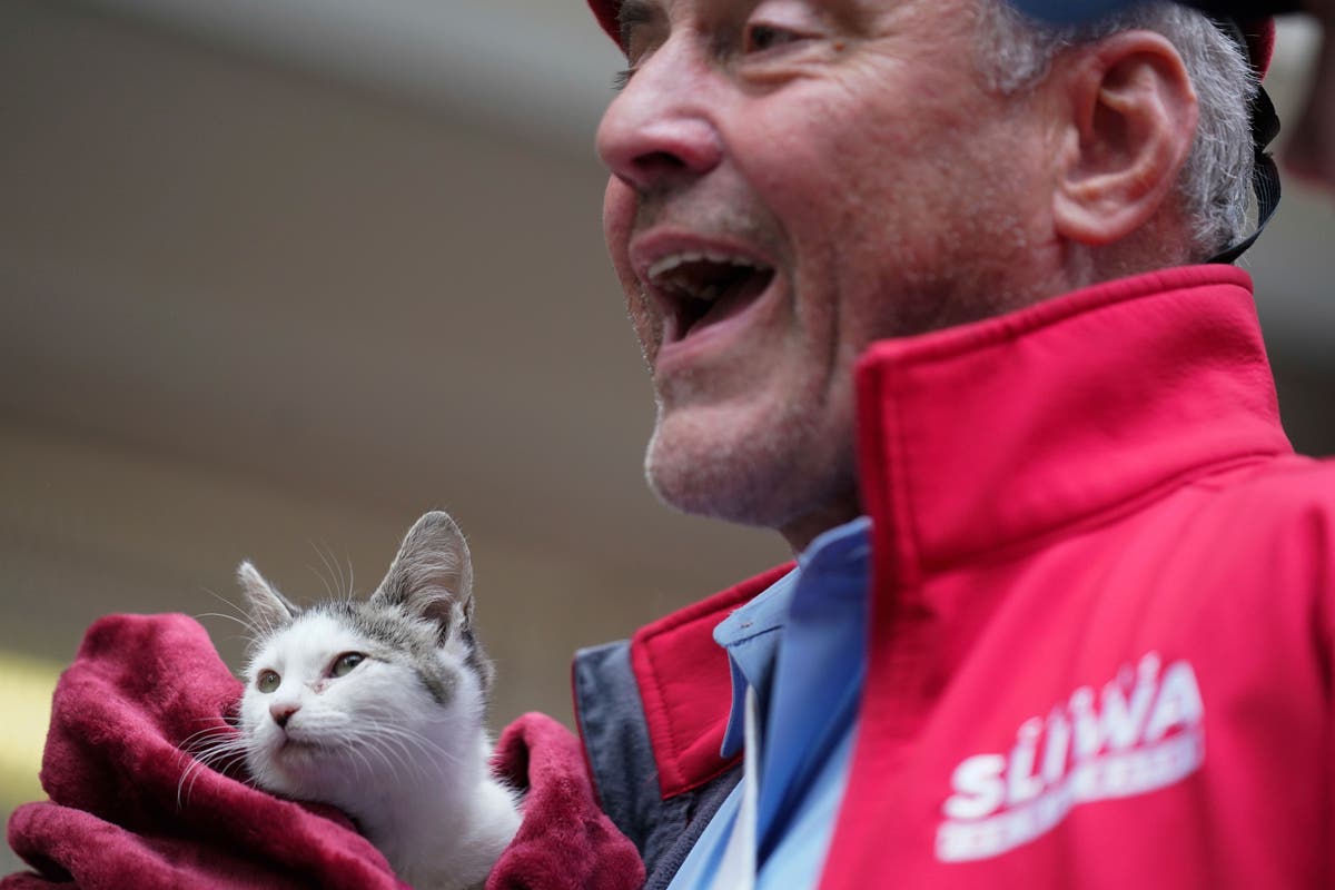 Cat got your vote? NYC candidate brings pet to polling place