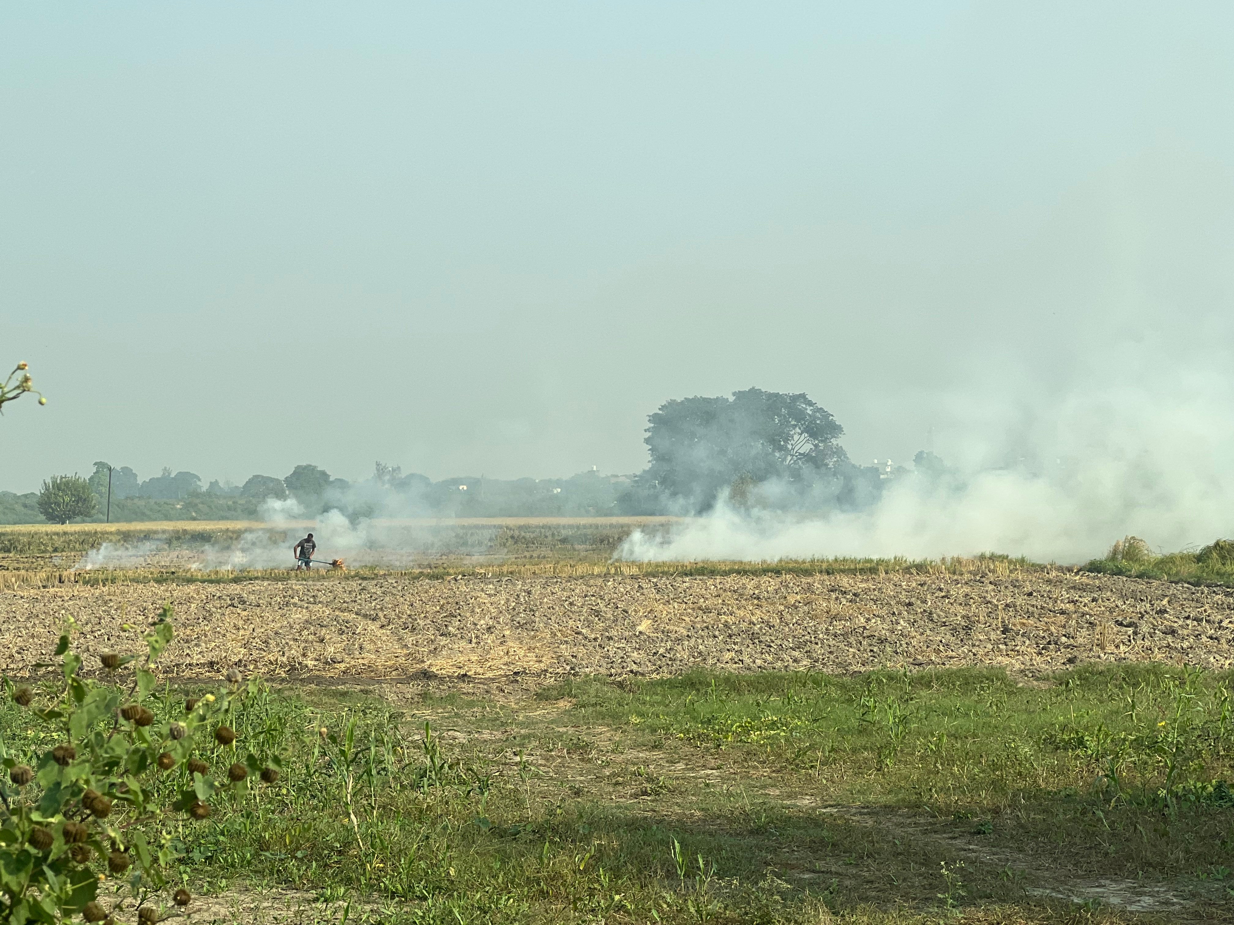 Farmer Pawan Kumar in northern India’s Haryana clears up his field of rice straws in late October as white smoke is seen rising from the field