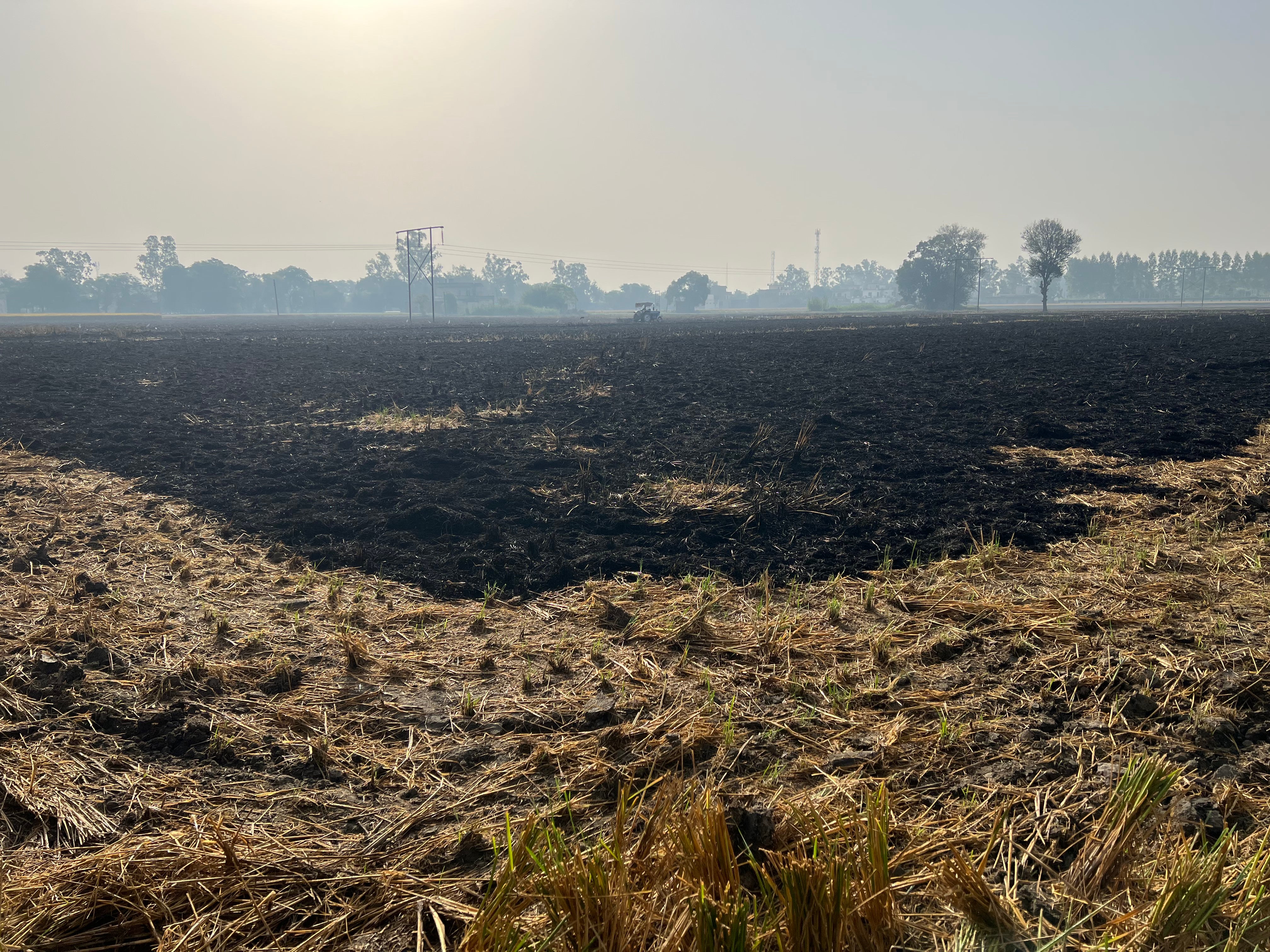 A farm in Punjab near Patiala, two days after it was torched to clear up the rice stubble, is seen in late October
