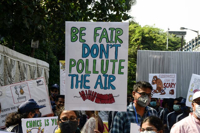 <p>People hold placards to raise awareness of air pollution caused by fireworks used during the celebrations for the upcoming Hindu festival of Diwali</p>