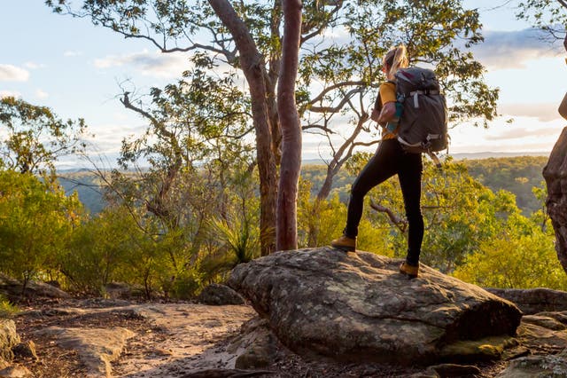 <p>‘Backpacker tax’ was introduced in 2017</p>