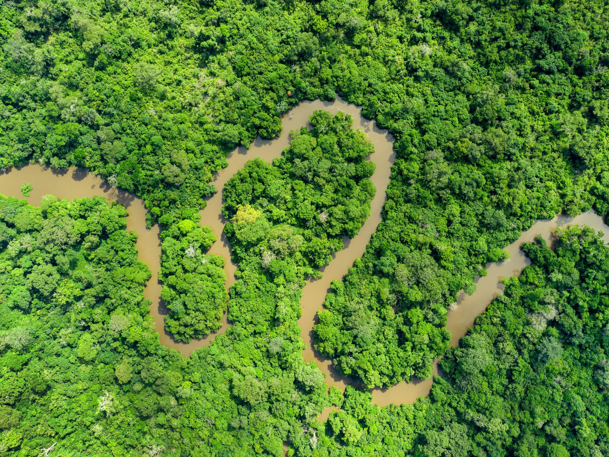 ‘This stunning ecosystem of the Congo River Basin is one of our strongest remaining defences against climate change’