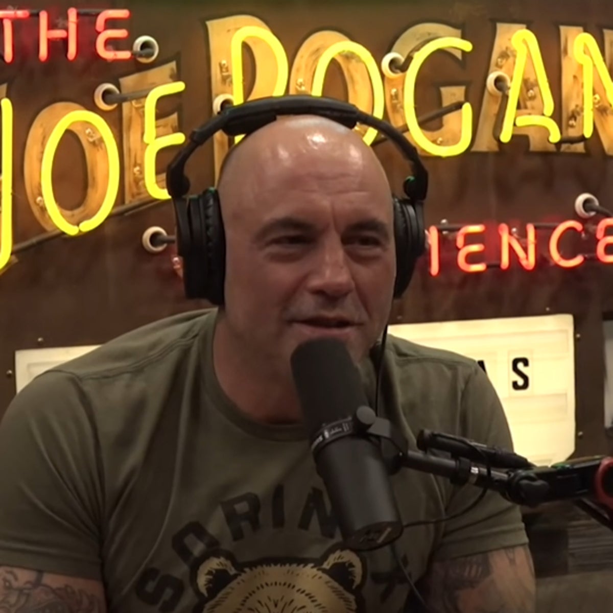 Famous Joe Rogan Josh Rogan Actor 60 Photos - Moonagedaydream.film