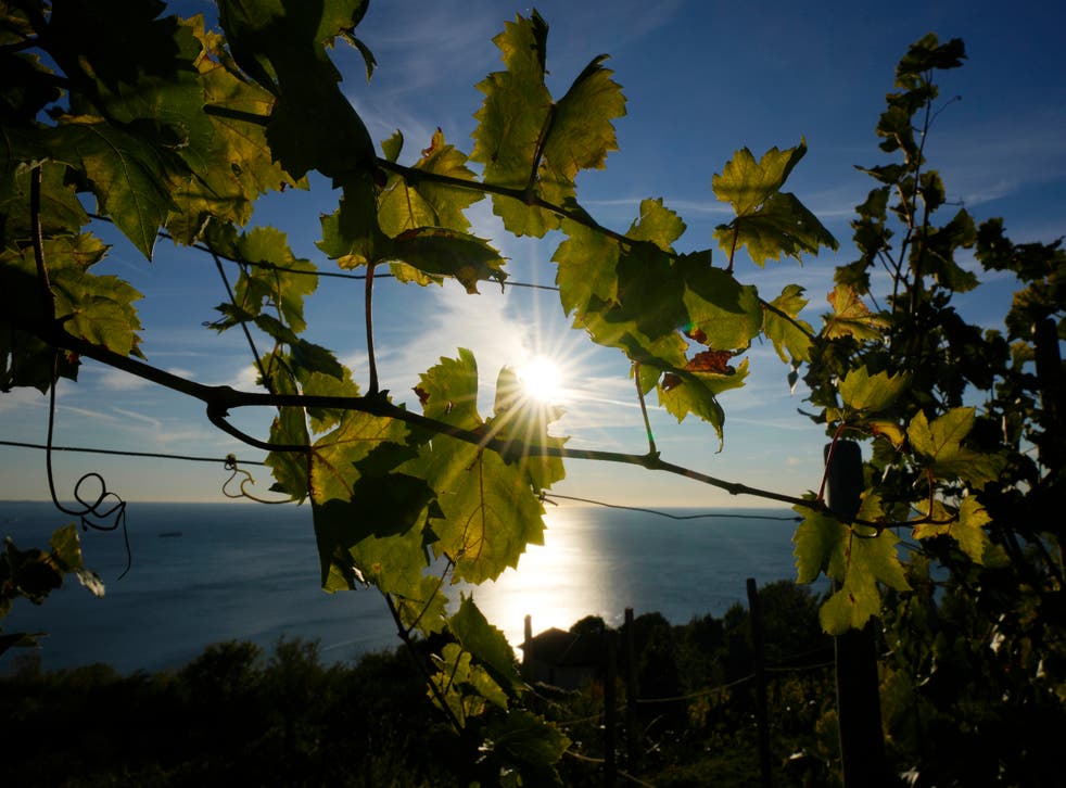 ITALIA-PROSECCO