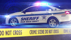 Teen driver in speeding BMW kills six in Florida rollover crash, police say