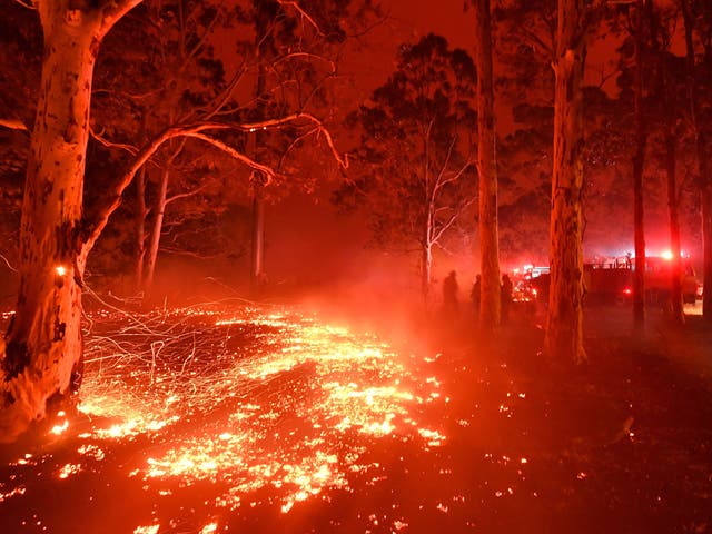 <p>Wildfires sweep through New South Wales in December 2019 </p>