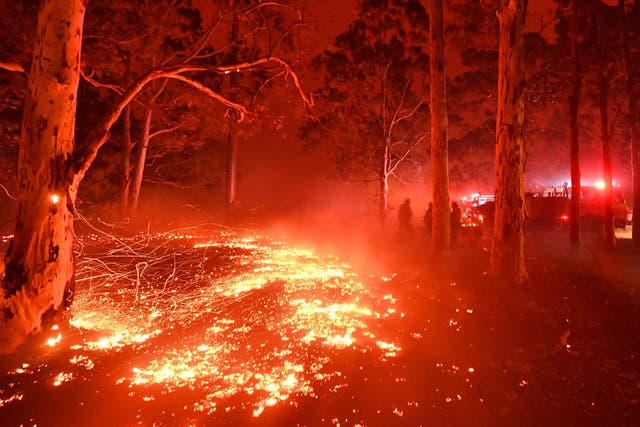 <p>Wildfires sweep through New South Wales in December 2019 </p>