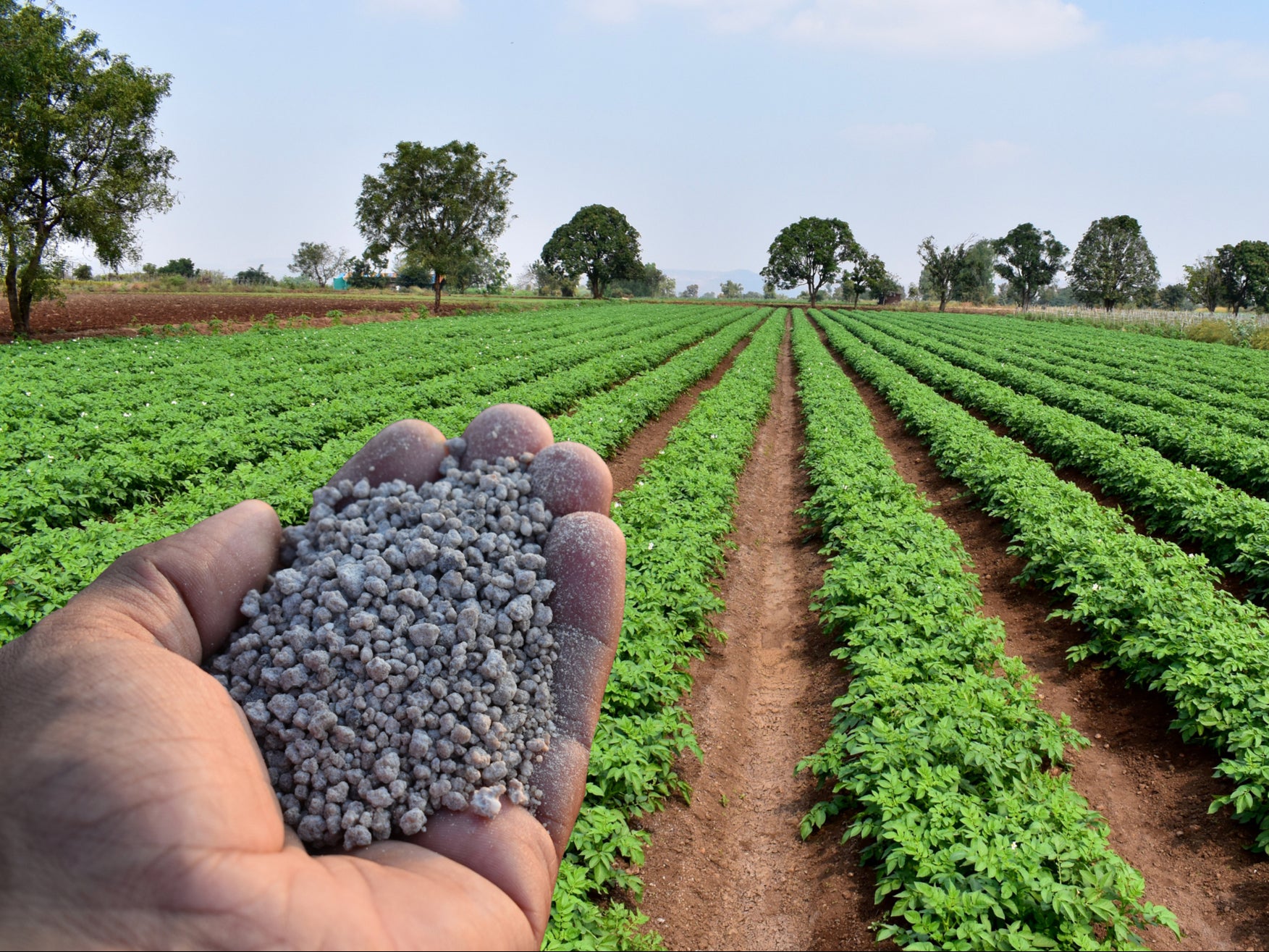 Germany is among the countries which have mandated use of chemicals to reduce the loss of damaging ammonia from nitrogen-based agricultural fertilisers