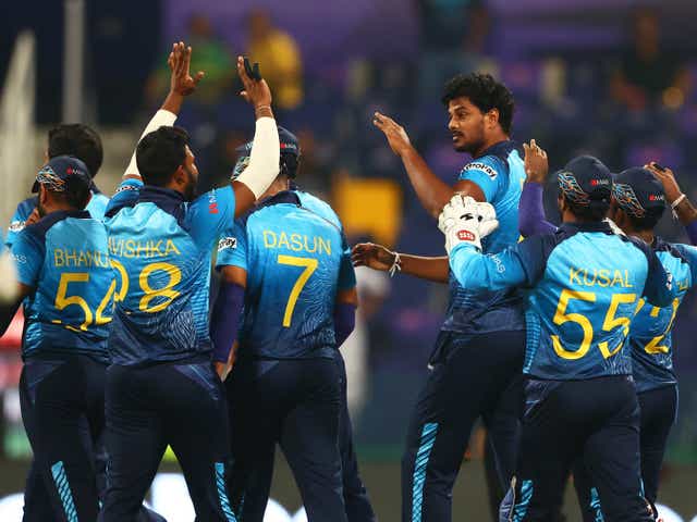 <p>Sri Lanka players celebrate</p>