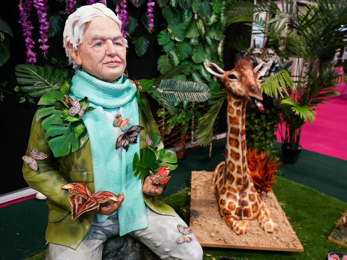 Bakers create life-size cake of Sir David Attenborough