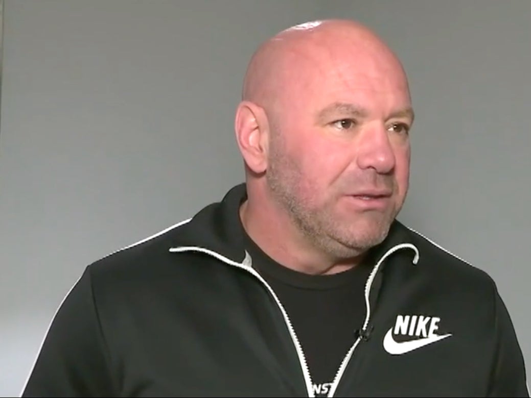 <p>Dana White, president of UFC</p>