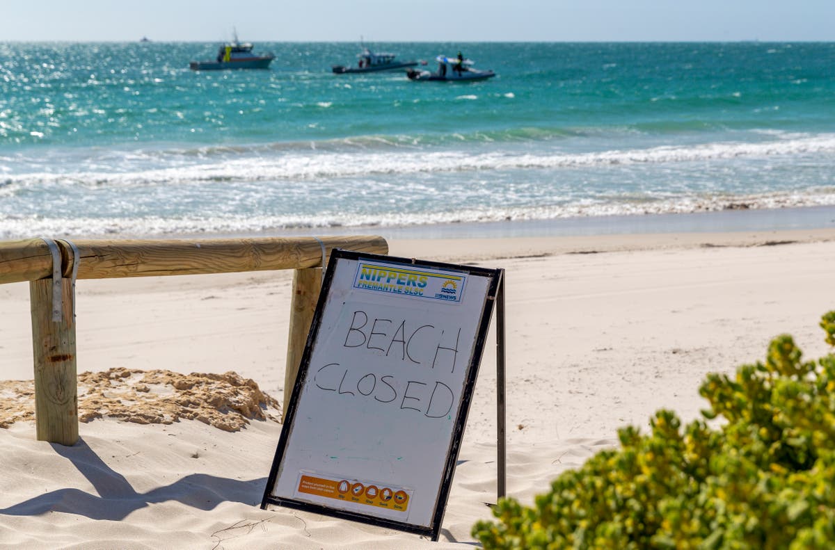 Rescuers in west Australia search for man attacked by sharks