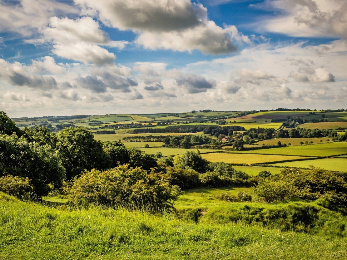 Summer landscape viewed from Red Hill In Lincolire Wolds