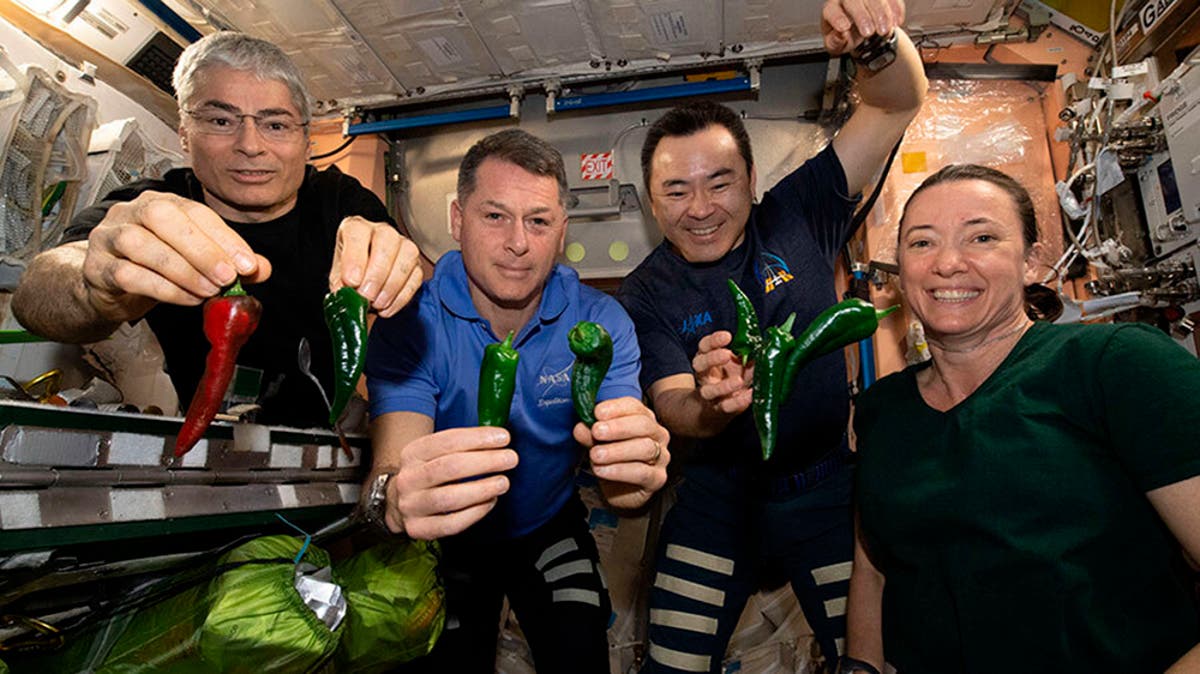 Broken toilet forces SpaceX astronauts to wear diapers on trip back to Earth