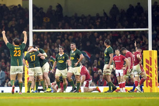 South Africa’s Frans Steyn celebrates at the end of the game (David Davies/PA)