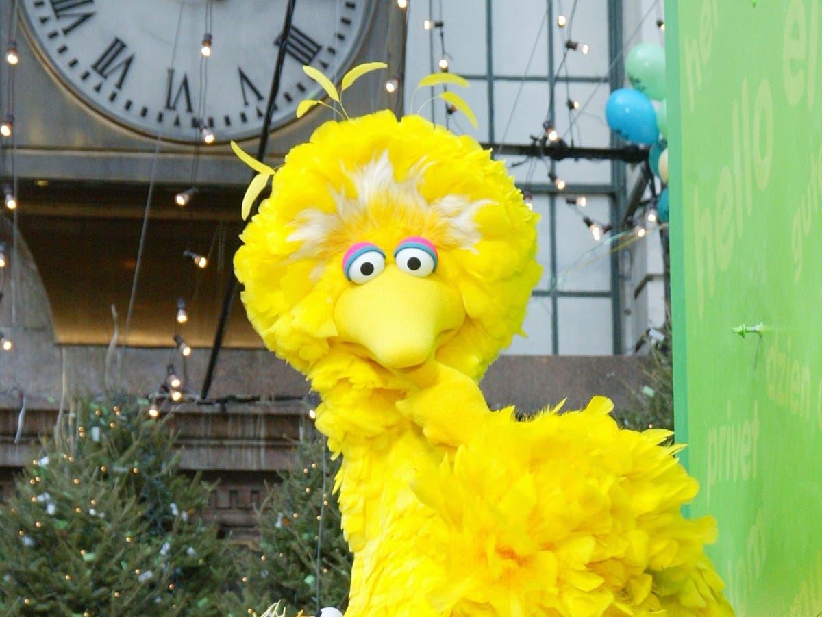 Biden antagonises right by congratulating Big Bird on vaccine status