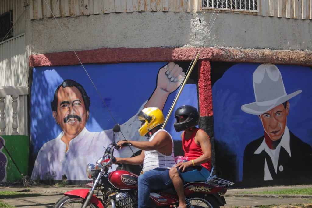 Nicaraguas Ortega seeks re-election after jailing rivals