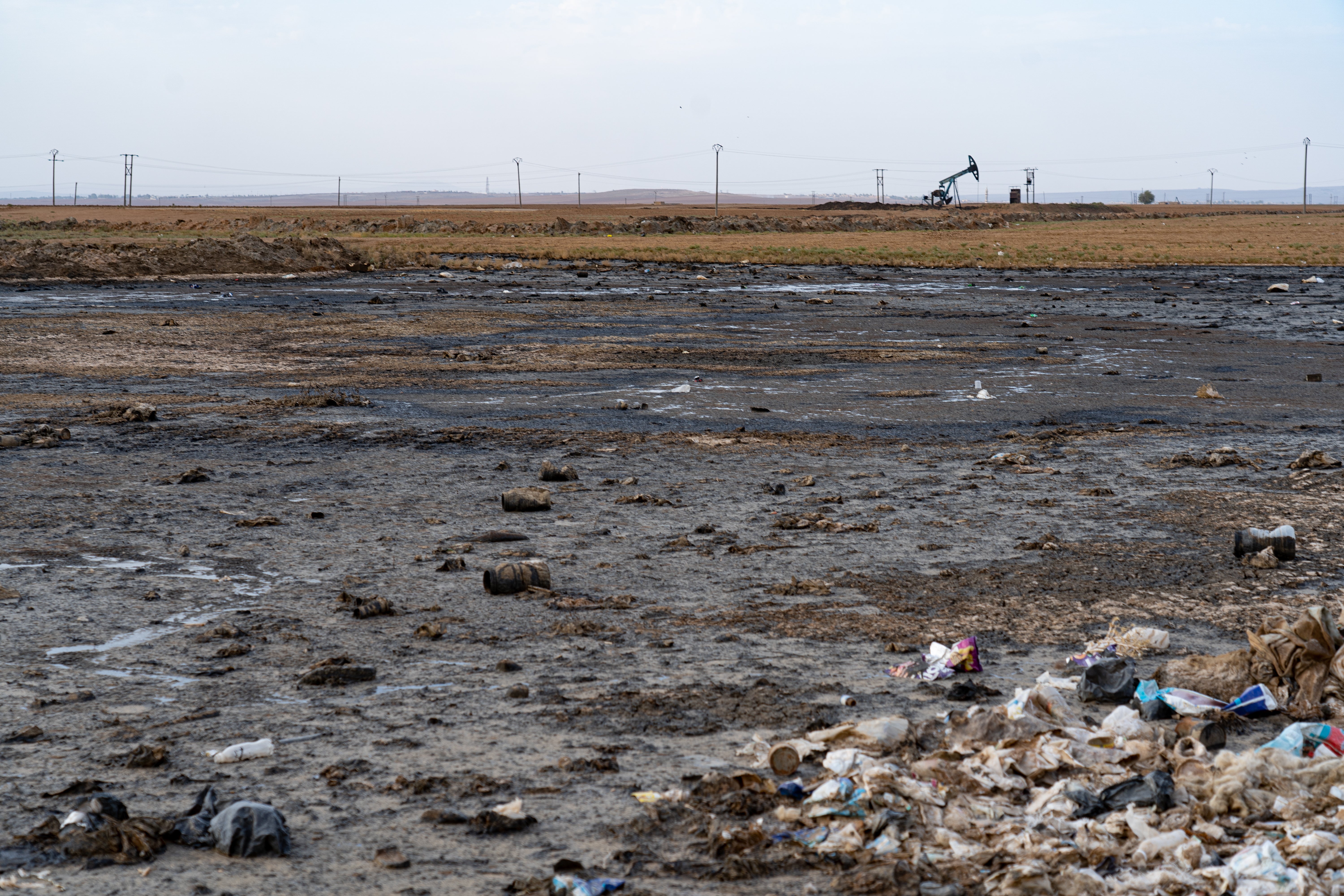 Green fields have turned to wastelands due to oil spills