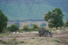 Mexico's army stands between gangs, enforcing turf divisions