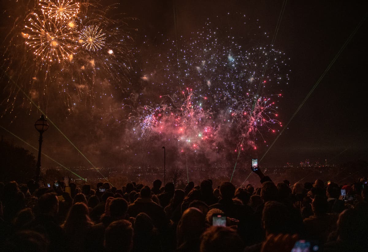 Dog scared to death by fireworks from Bonfire night celebrations