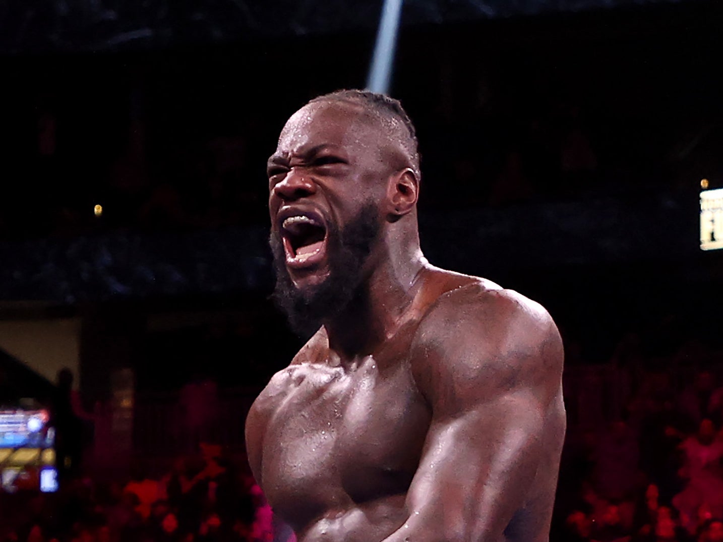 Deontay Wilder reacts after knocking down Tyson Fury