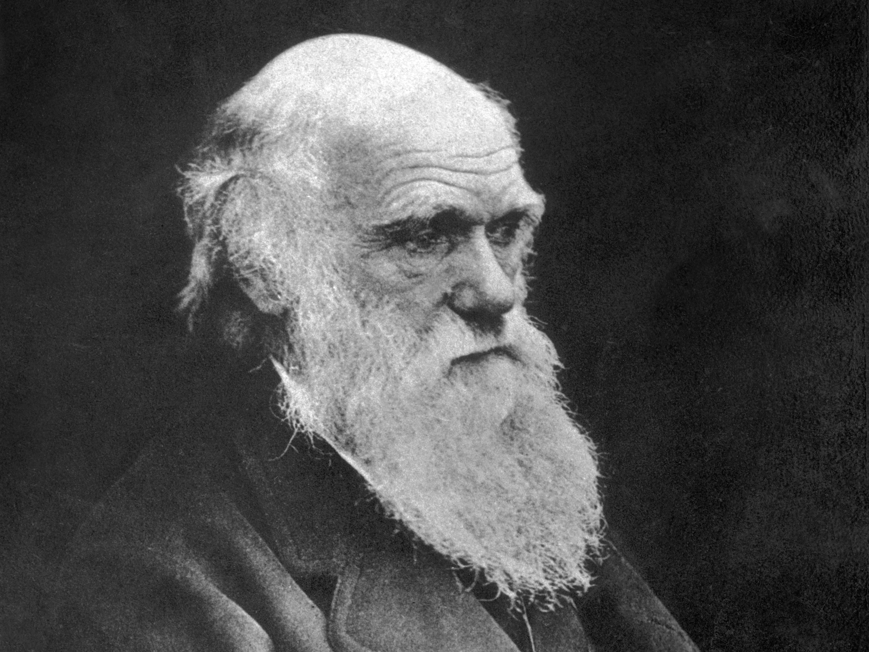 Darwin’s importance simply cannot be overstated