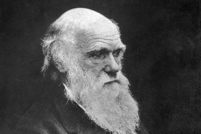 <p>Darwin’s importance simply cannot be overstated</p>
