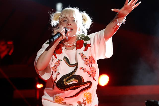 <p>Billie Eilish spoke out against pornography in a radio interview this week</p>