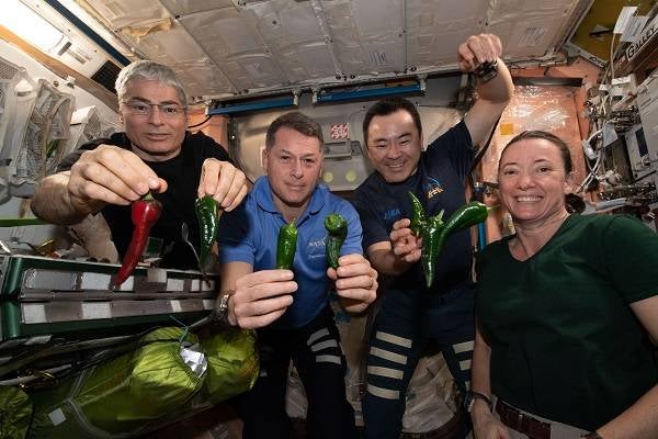 The astronauts cultivated peppers aboard the International Space Station for the first time