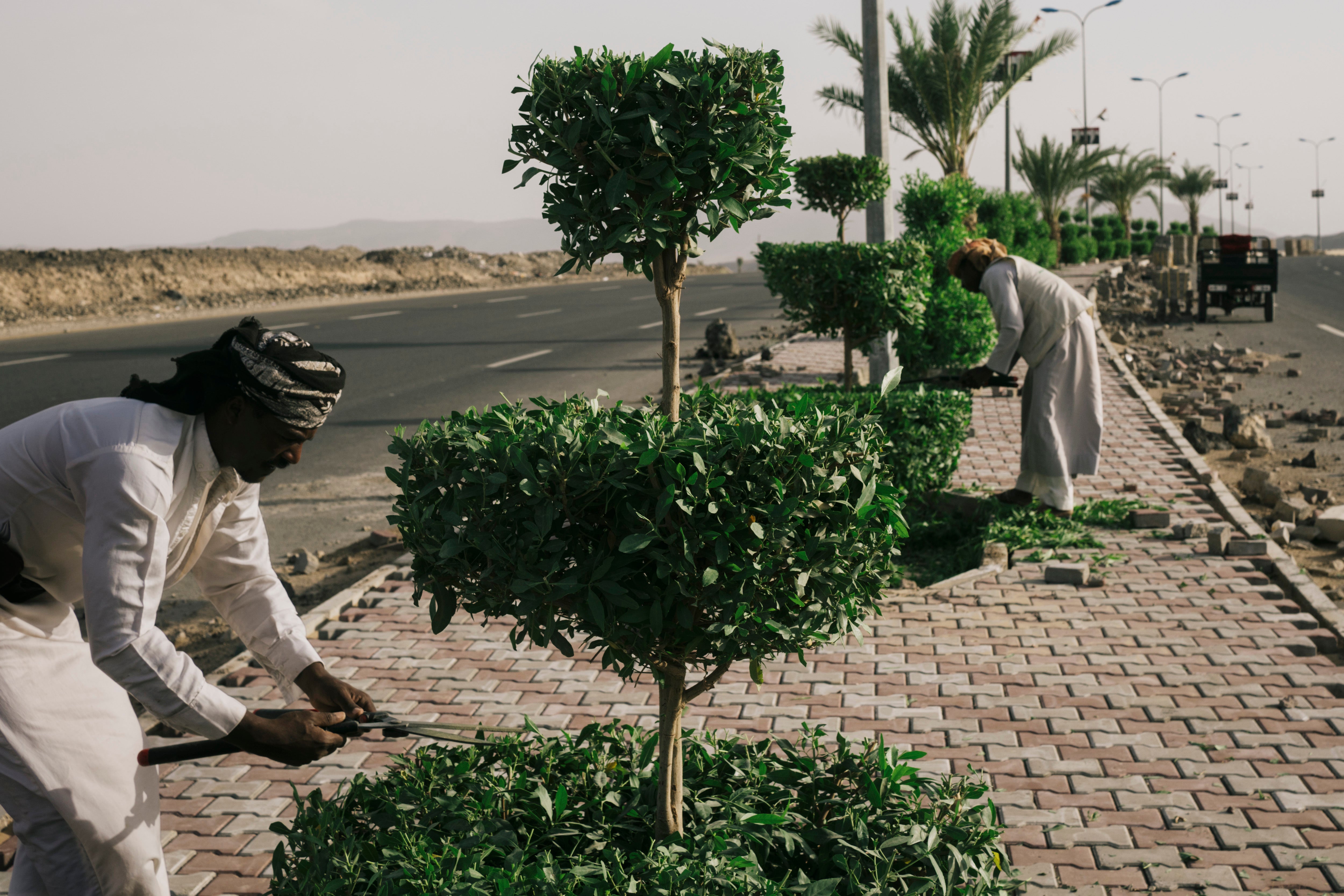 The men work quickly on the trees