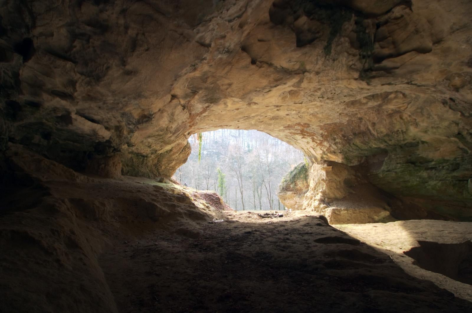 Vindija cave in Croatia, where a team of researchers sequenced the genome of a female Neanderthal from a bone discovered in 1980