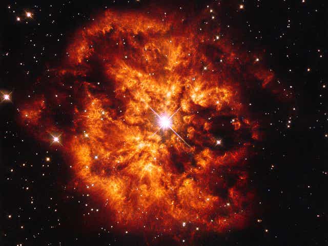 <p>Explosive company: Wolf-Rayet star Hen 2-427, encompassed by the M1-67 nebula</p><p>   </p>
