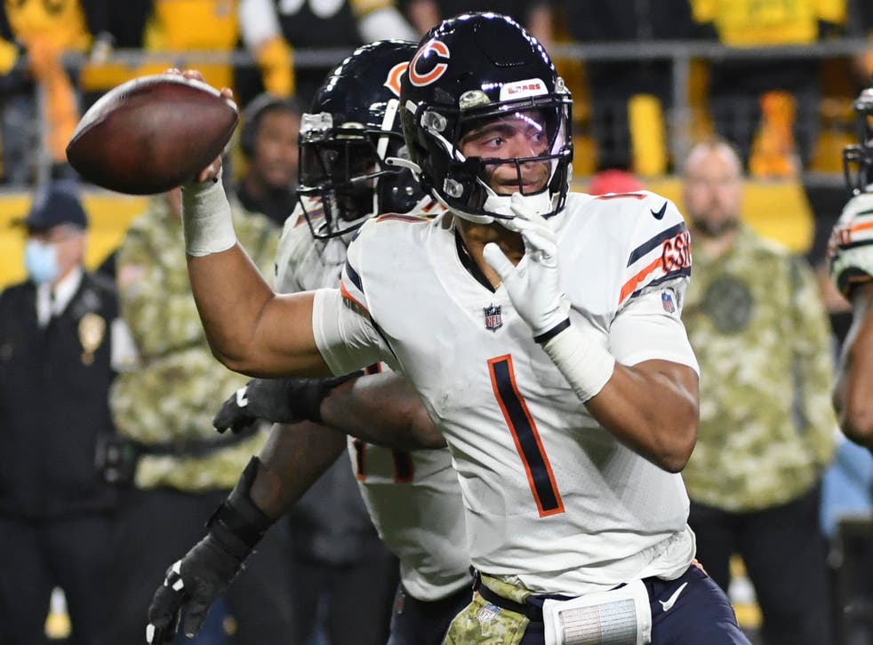 BEARS-ANÁLISIS