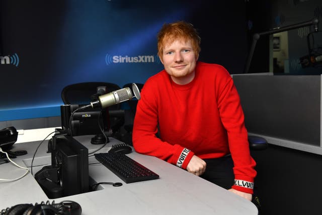<p>Ed Sheeran said he has turned his own East Suffolk estate into a ‘wildlife meadow’ </p>