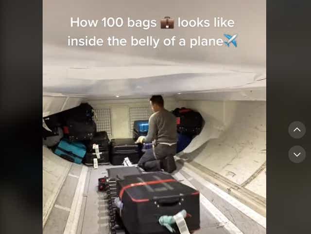 <p>Baggage handler Deeej demonstrates loading bags into the hold</p>