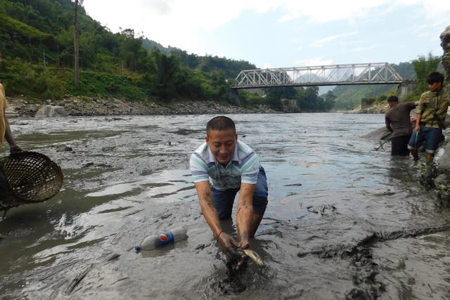 <p>A man pulls out a dead fish from Kameng river in Arunachal Pradesh</p>