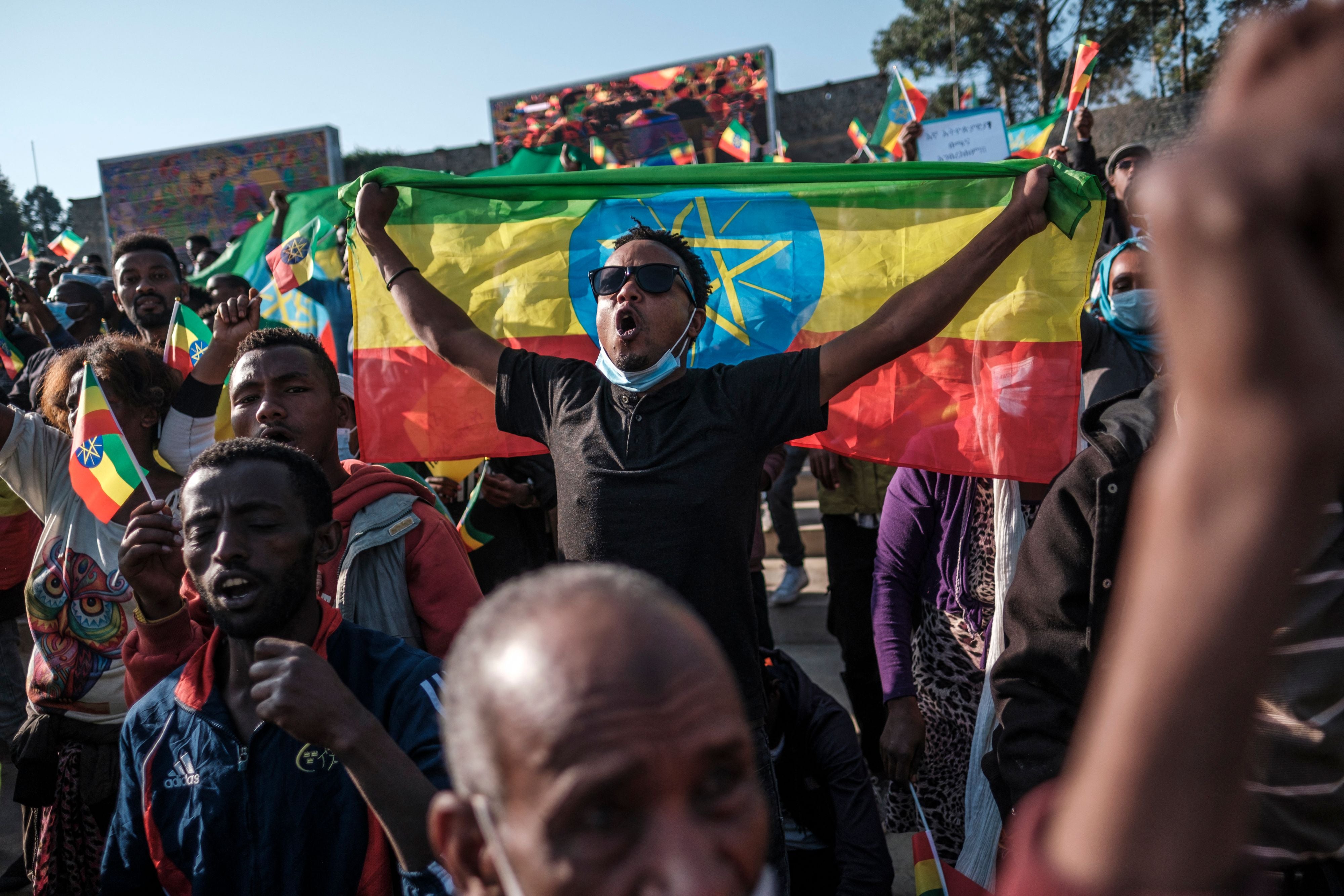 Demonstrators take part in a pro-government rally in Addis Ababa