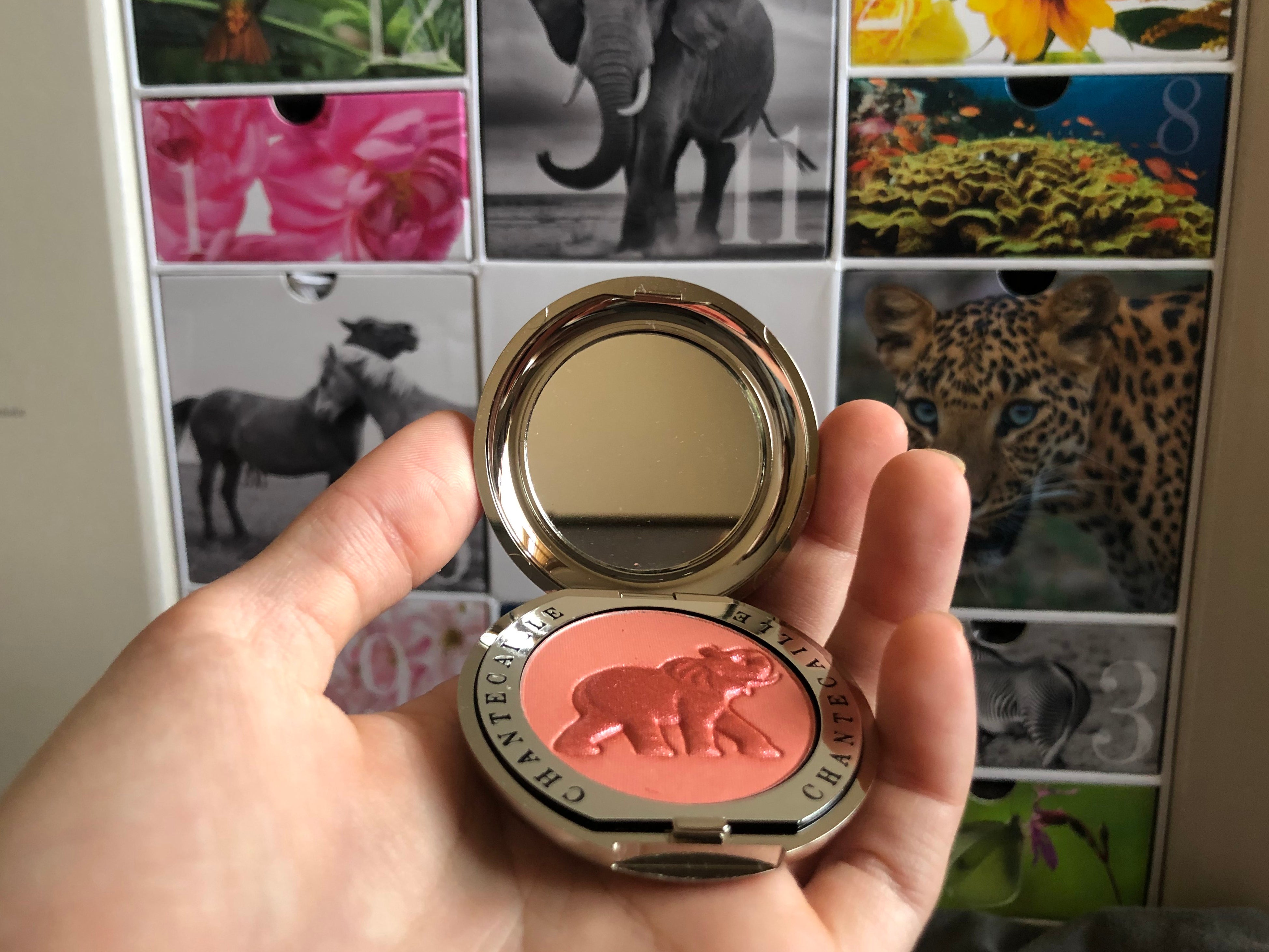 We’re a big fan of this peachy blush